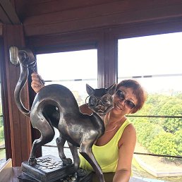 �����, �����-���������, 56 ���