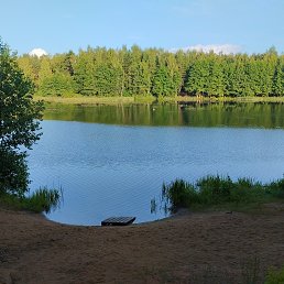 ���� ������, �����, 37 ��� - ��������� 3 ���� 2023