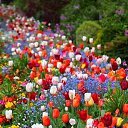 ���� Anett, �����-��������� - ��������� 28 ������� 2023 � ������ ���� ����������