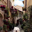 ���� �����, ����, 33 ���� - ��������� 10 ��� 2023 � ������ ������ ��������