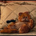 ���� ����, ������, 24 ���� - ��������� 12 �������� 2023 � ������ ���� ����������