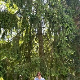 �����, ������, 66 ���