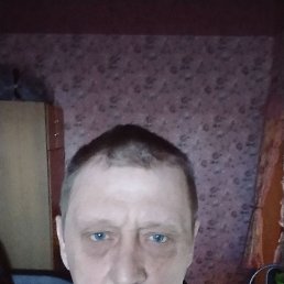 , 53 , 