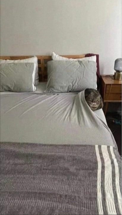   .   )