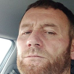 ���� �����������, �����-���������, 43 ����