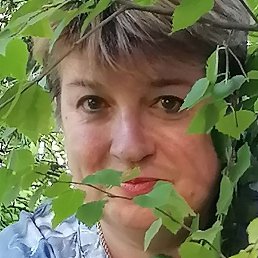 �����, ����, 37 ���