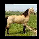 ���� ����, �������, 54 ���� - ��������� 18 �������� 2023 � ������ ���� ����������