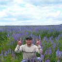 ���� ���������, ������, 51 ��� - ��������� 25 ������� 2023 � ������ ���� ����������