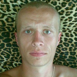 �������, ������, 37 ���