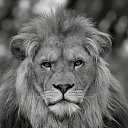 ���� ������, ������, 30 ��� - ��������� 13 ������� 2023 � ������ ���� ����������