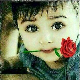 Bek, �����, 33 ����