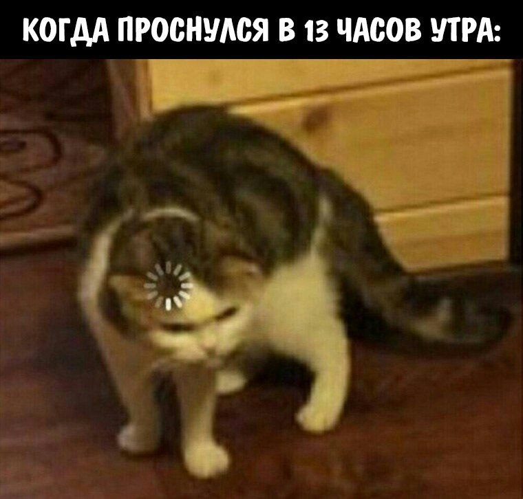    - 6  2023  03:11