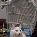 ���� ��������, ������-��-����, 60 ��� - ��������� 12 ���� 2023