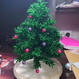 ���� �������, ���������, 67 ��� - ��������� 7 ���� 2023