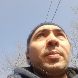 ��������, �����������, 46 ���