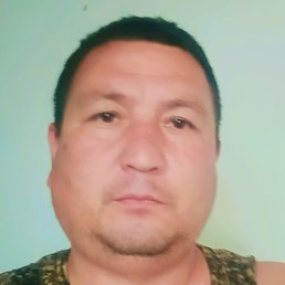 Usa, ������, 39 ���