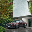 ���� */Wl@d/*, ������� ��������, 50 ��� - ��������� 10 �������� 2023 � ������ ���� ����������