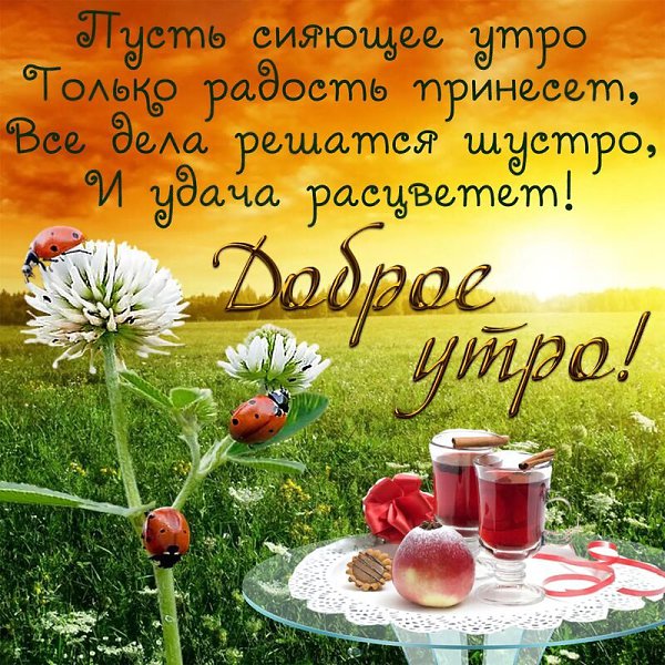   - 14  2023  08:43