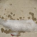 ���� �����, �����-���������, 26 ��� - ��������� 19 ���� 2023 � ������ ���� ����������