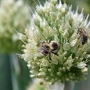  Aleksandr, , 49  -  12  2023