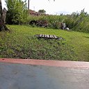 ���� ������, ������, 28 ��� - ��������� 14 ������� 2023 � ������ ���� ����������