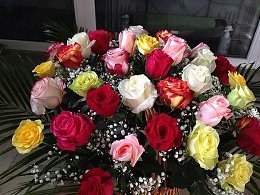 �����������