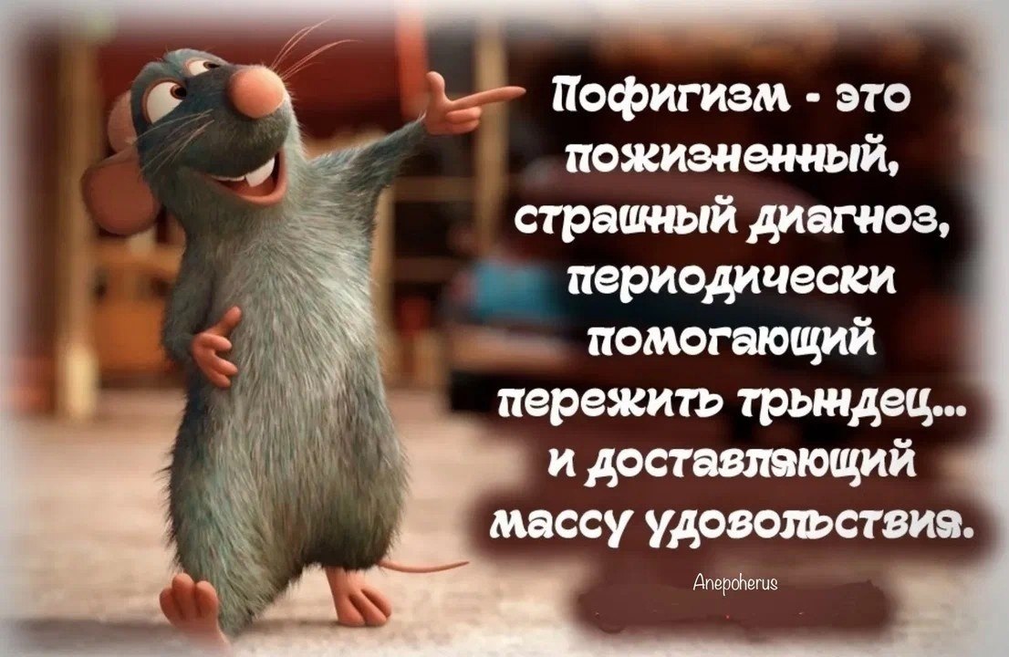  - 9  2023  13:35