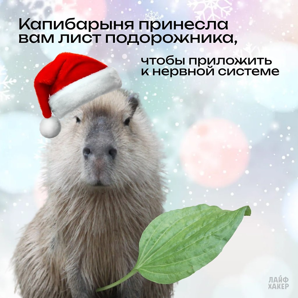 ���������� ����� �� ���������� � ������ �������. �������� ��� �������, ����� ��� ������ ����.