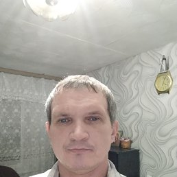 ���������, 41 ���, ������