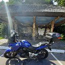 ���� Dima, �����, 38 ��� - ��������� 8 ����� 2024 � ������ ���� ����������