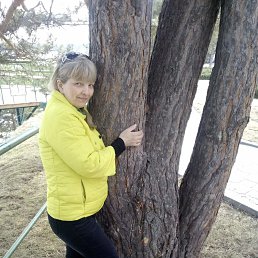 , 58, 