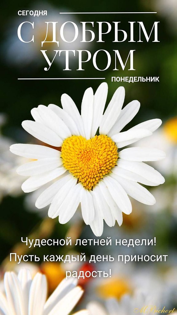   ,    . - 7  2025  07:28 - 2