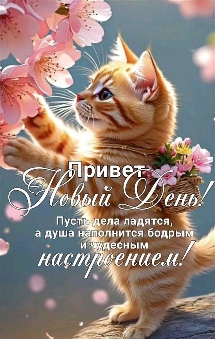  - 16  2025  06:42