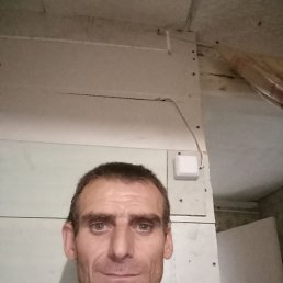 , 42, 