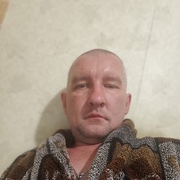 , 41 , -
