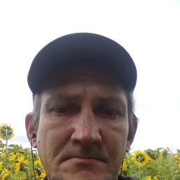  , 46, 