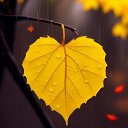 ���� ������, ������ - ��������� 14 ������� 2025 � ������ ���� ����������
