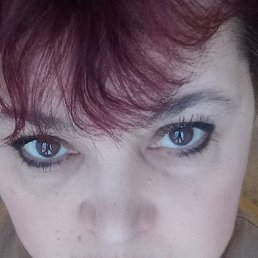 �����, ��������, 51 ���