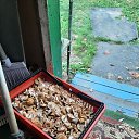 ���� ����, �����������, 61 ��� - ��������� 19 ������ 2026