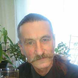 , 65, 