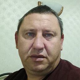 �����, ������, 41 ���