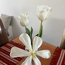 ���� �����, �����������, 59 ��� - ��������� 8 ������� 2024 � ������ ���� ����������