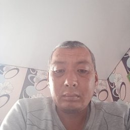 ����� ����������, �����������, 46 ���