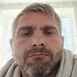 ��������, ��������, 37 ���