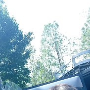 �������, 42 ����, �����������