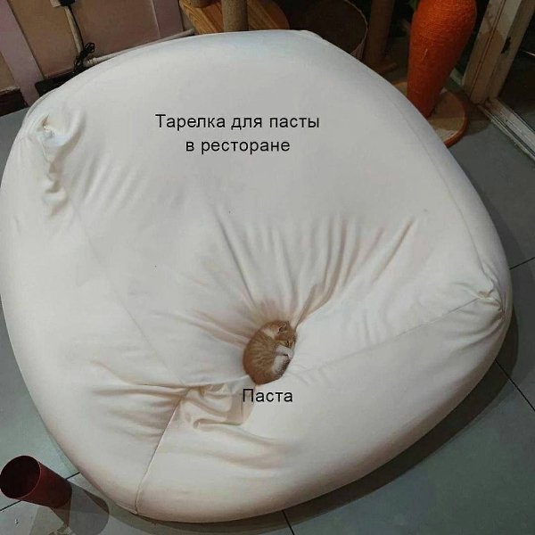 ���� - 24 ��� 2025 � 15:20