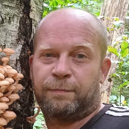 ��������, �������, 48 ���