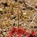  , -, 67  -  28  2023    