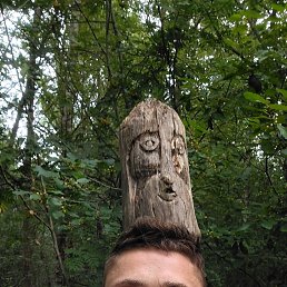 , 33 , 
