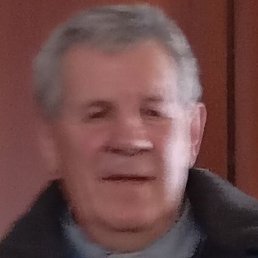 ������, ������, 65 ���